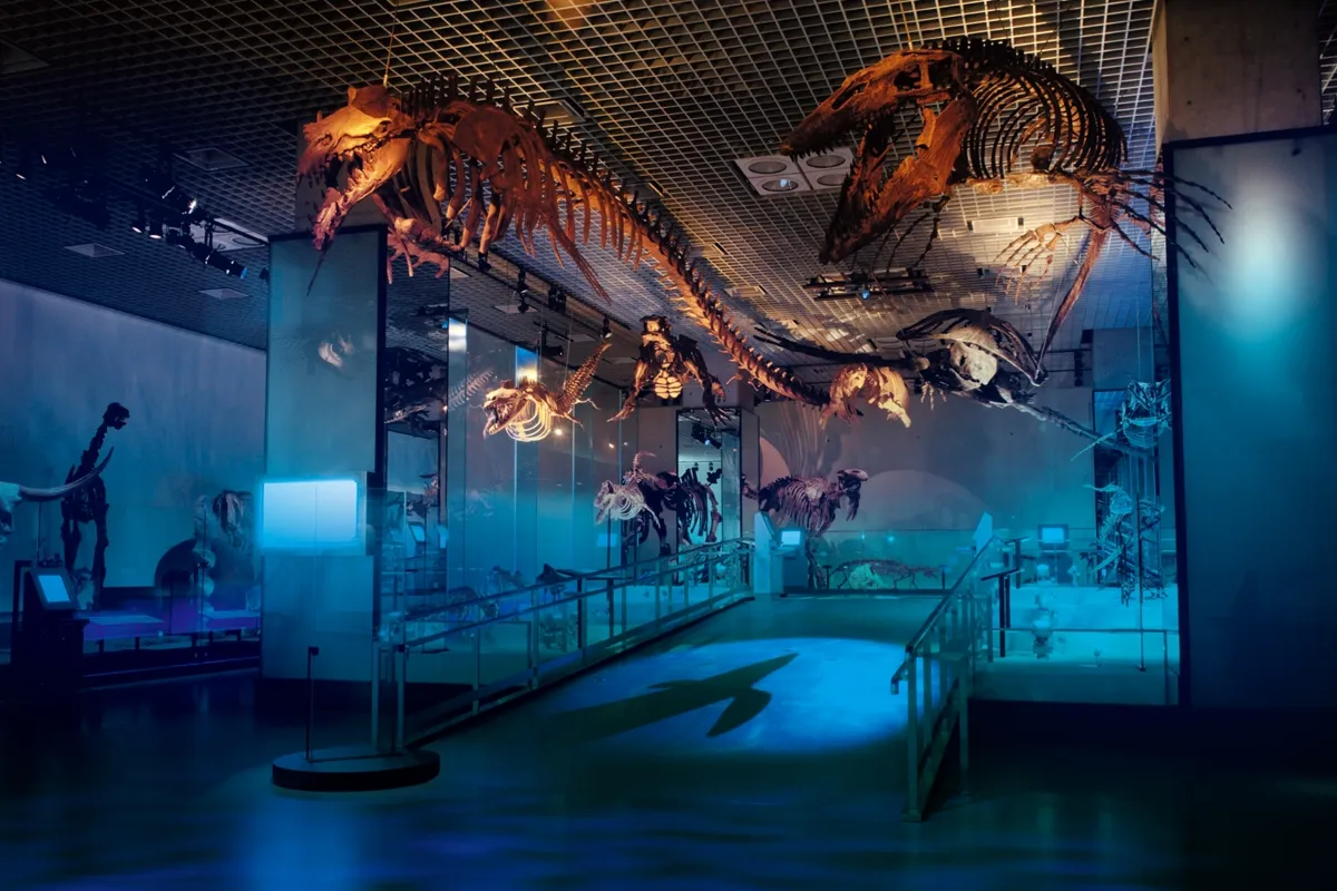 地球環境の変動と生物の進化-誕生と絶滅の不思議-