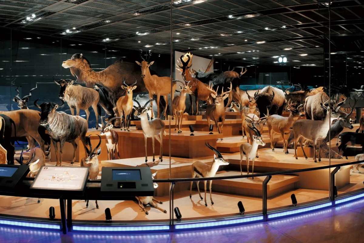 地球史ナビゲーター (2)