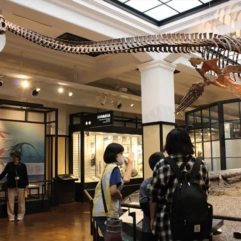 かはくボランティア2