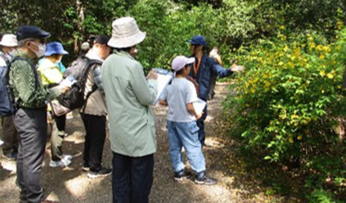 一覧:日曜観察会