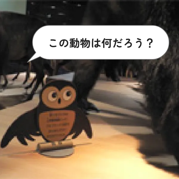 こども向け展示解説1