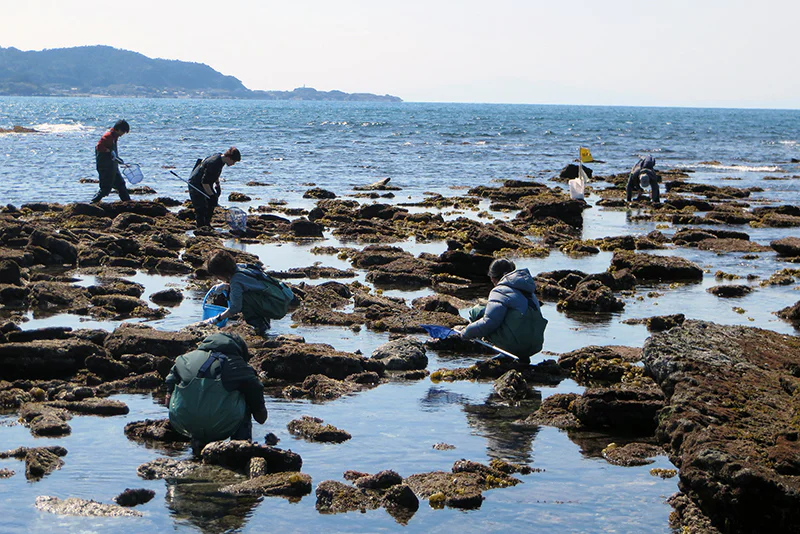 d_お茶の水大学連携事業
