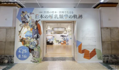 企画展「科博の標本・資料でたどる日本の哺乳類学の軌跡」