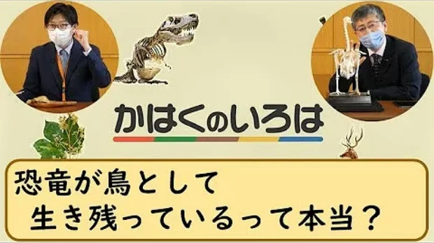 「恐竜が鳥として生き残っているって本当？」　【かはくのいろは　第１回】