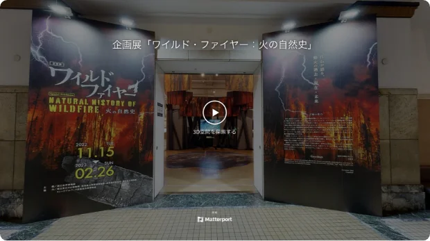 企画展「ワイルド・ファイヤー:火の自然史」