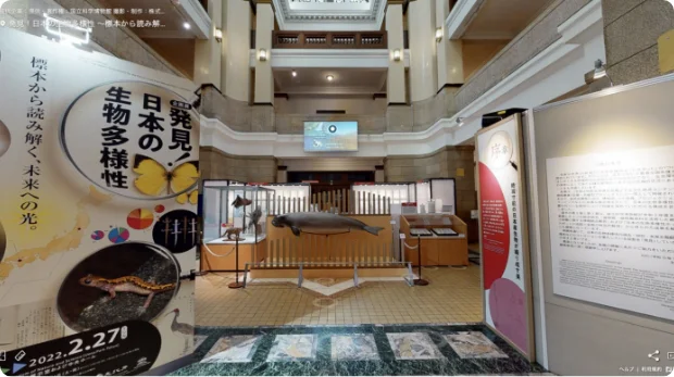 企画展「発見!日本の生物多様性 ~標本から読み解く、未来への光~」