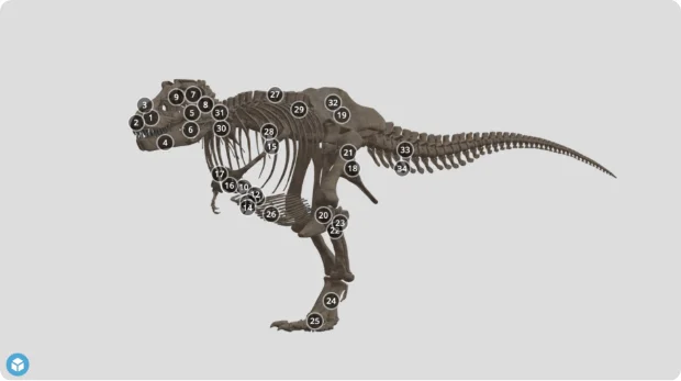 ディノ・ネット デジタル恐竜展示室