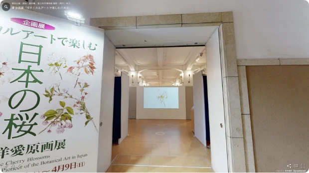 企画展「ボタニカルアートで楽しむ日本の桜 -太田洋愛原画展-」のVR映像
