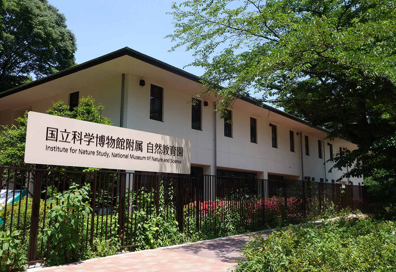 附属自然教育園1