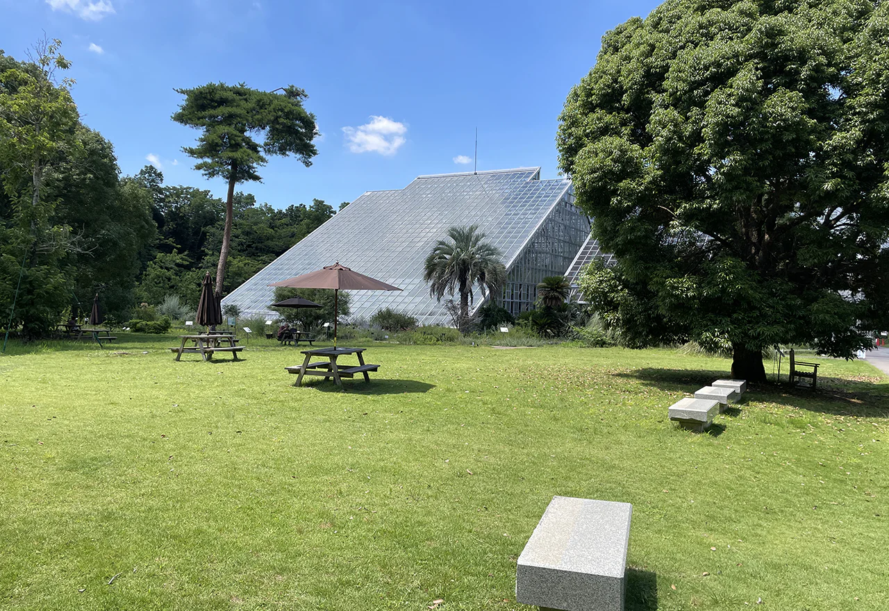 筑波実験植物園1