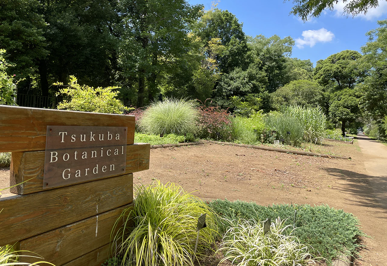 筑波実験植物園2