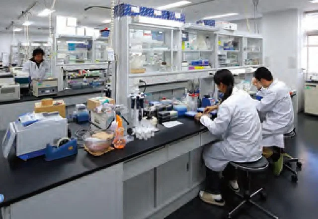 標本資料センターについて1