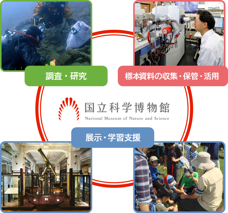 3つの主要事業の発展