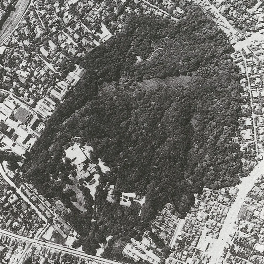 自然教育園(昭和39年)