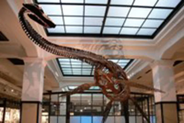 フタバスズキリュウ