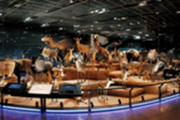 大地を駆ける生命2