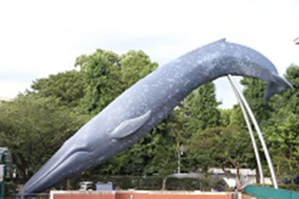 屋外展示：シロナガスクジラ実物大模型