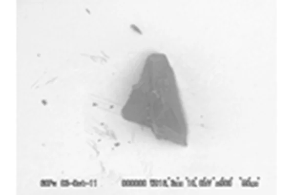 公開微粒子の電子顕微鏡写真（大きさ：0.049mm）【画像提供：ＪＡＸＡ】