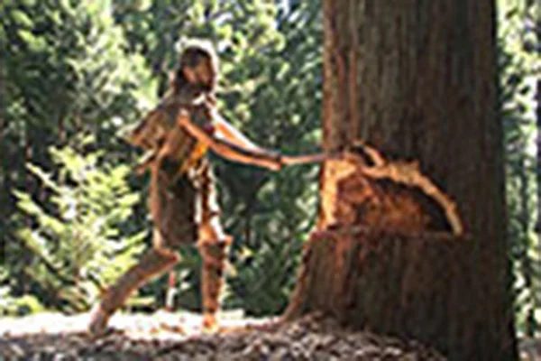 14. 丸木舟の製作