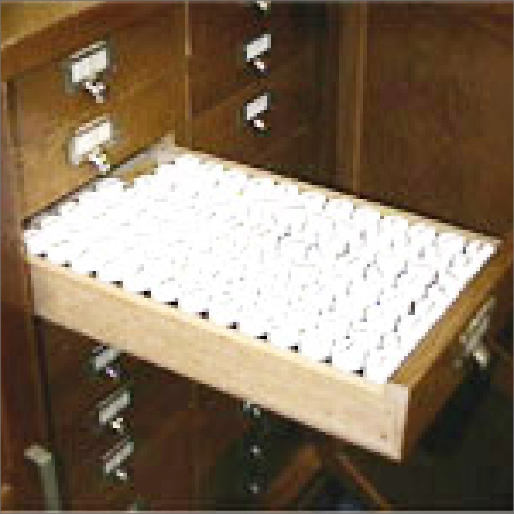 液浸標本タンス