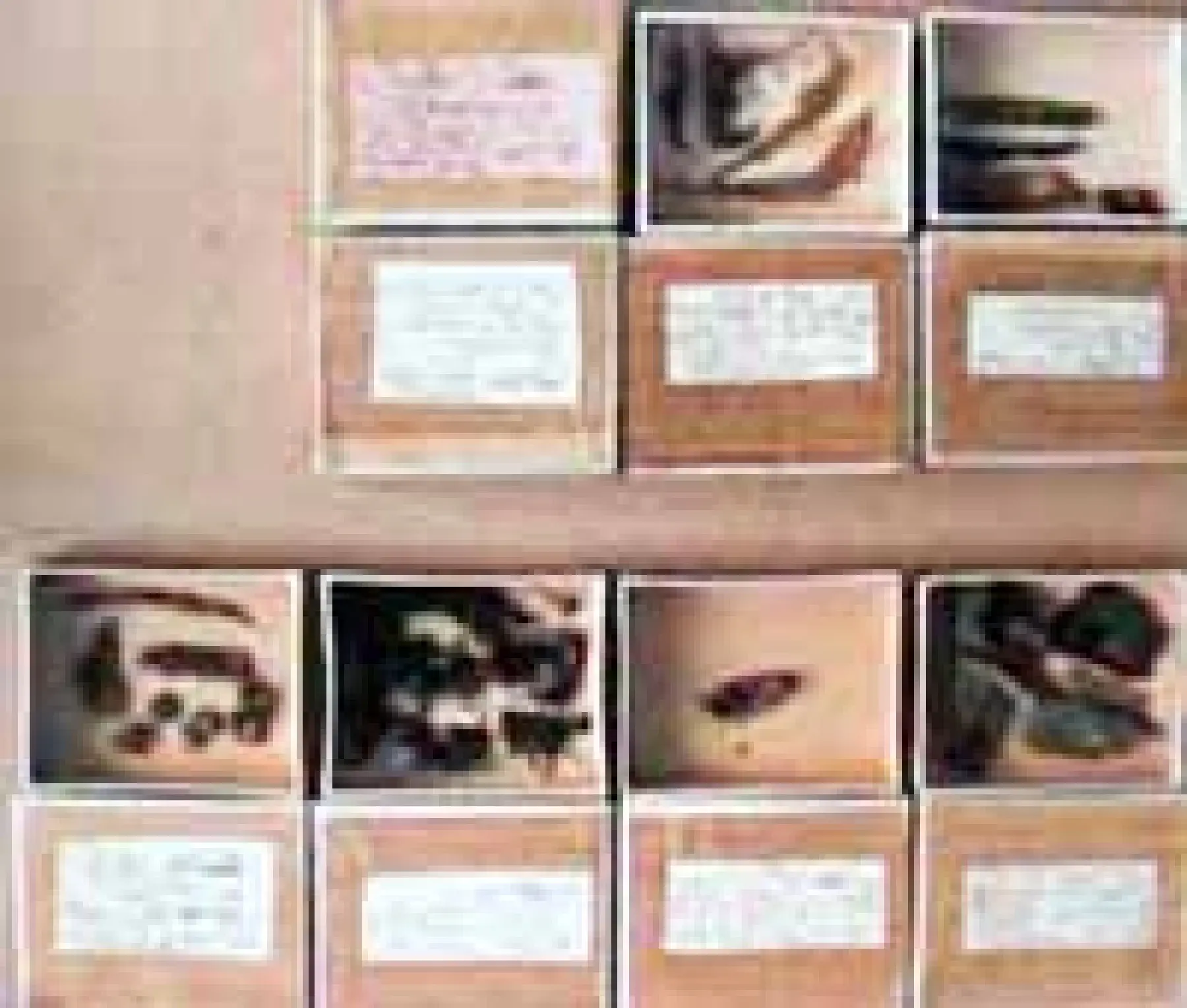 南方コレクションの一部