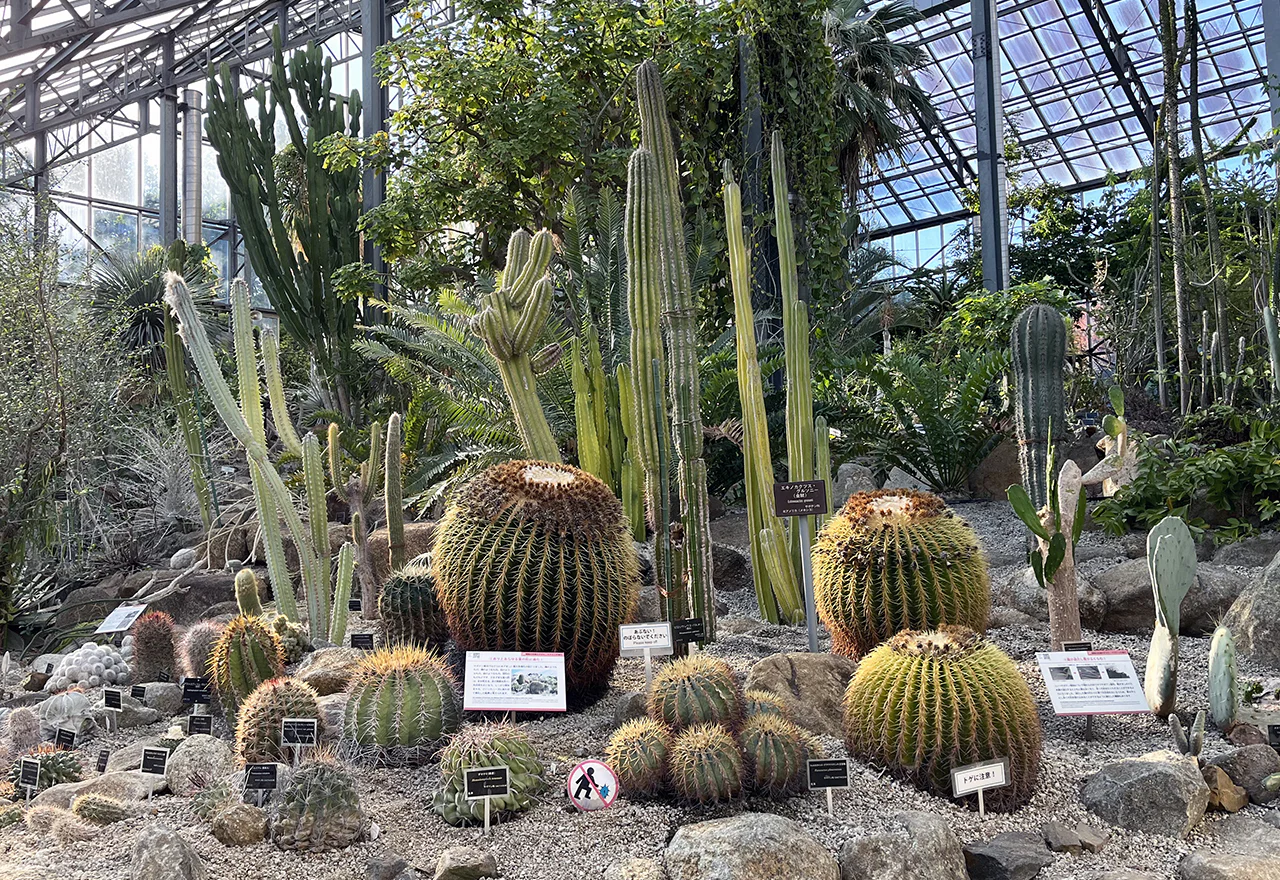 筑波実験植物園3