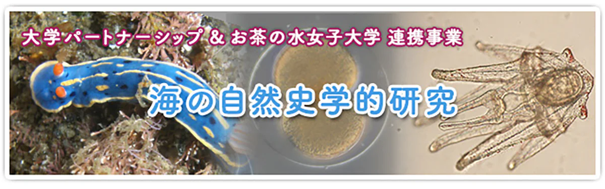海の自然史学的研究