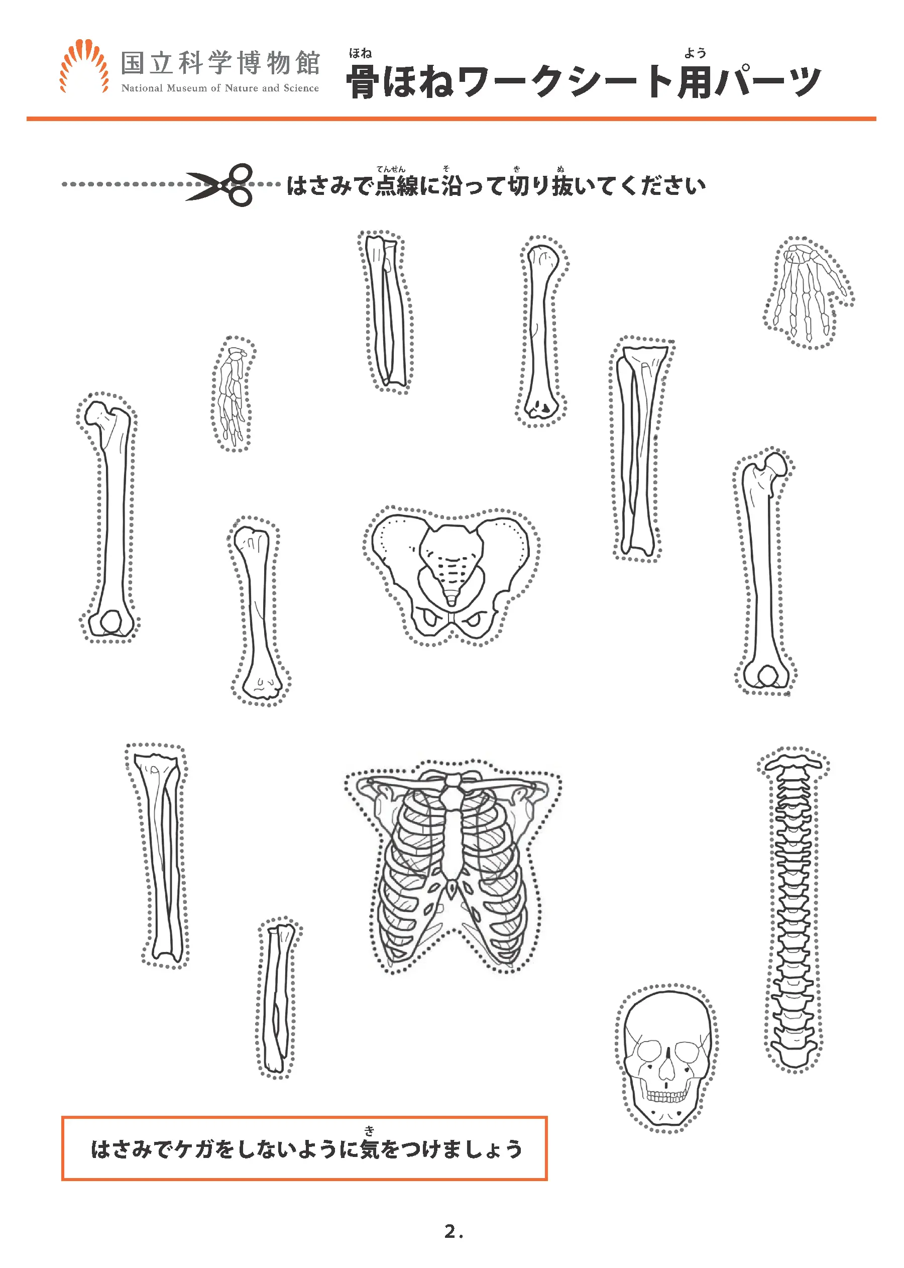 骨ほねワークシート