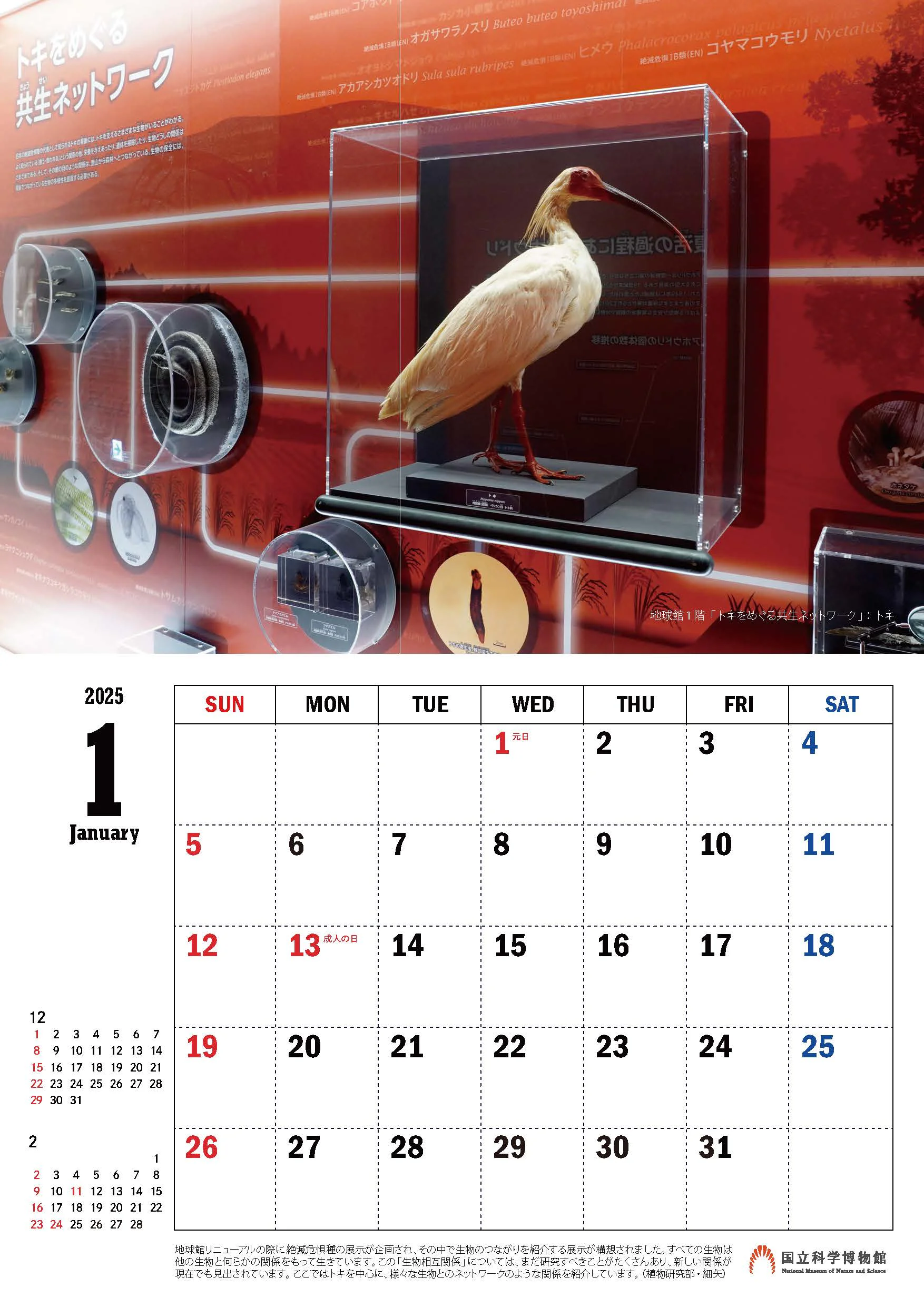 印刷用カレンダー１月