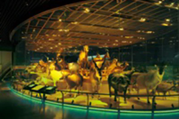 大地を駆ける生命1