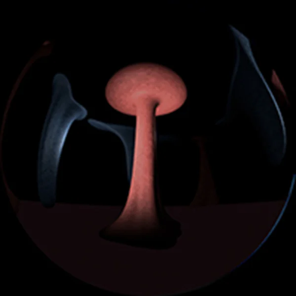 11.マントルと地球の変動