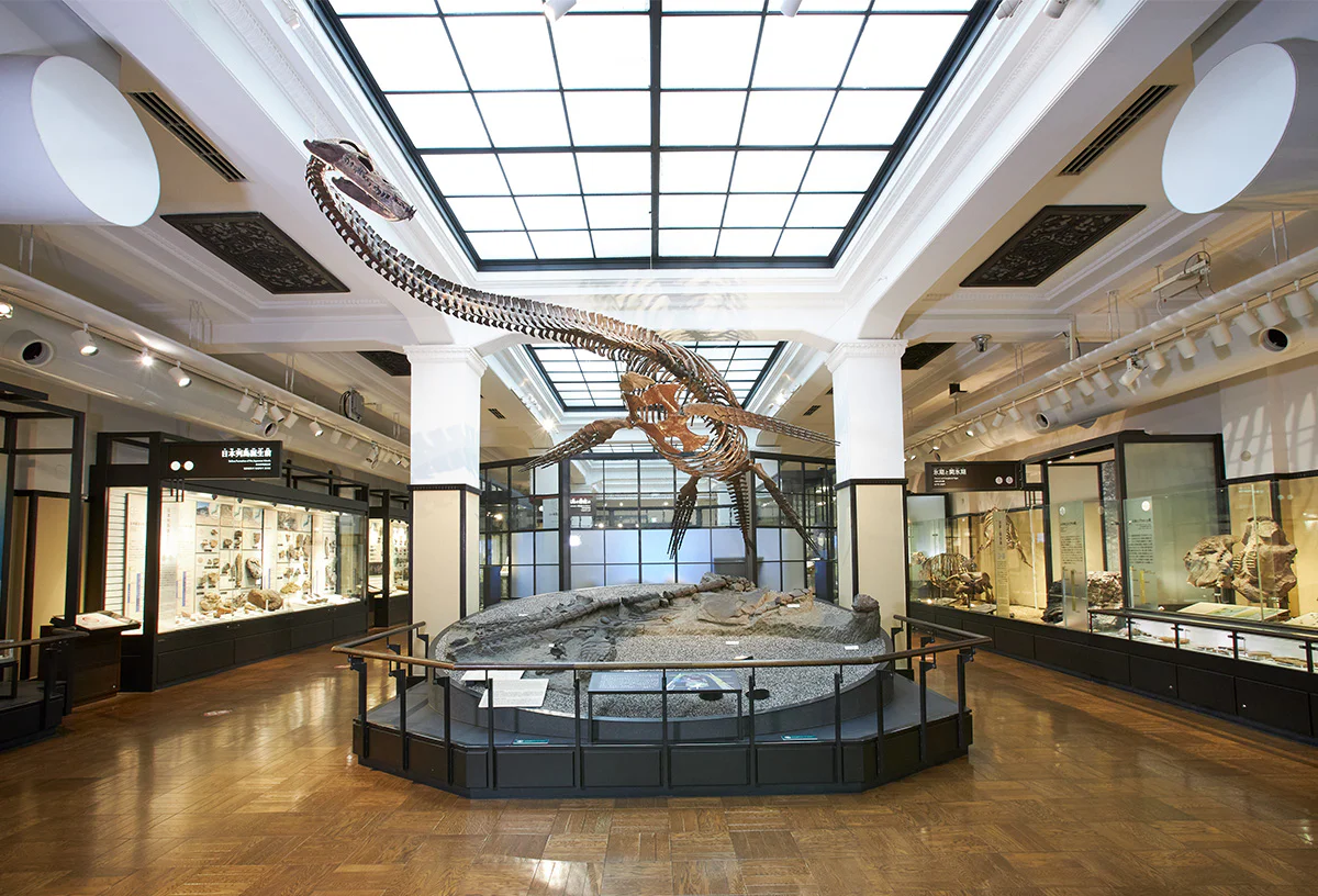 日本館3階北翼展示室