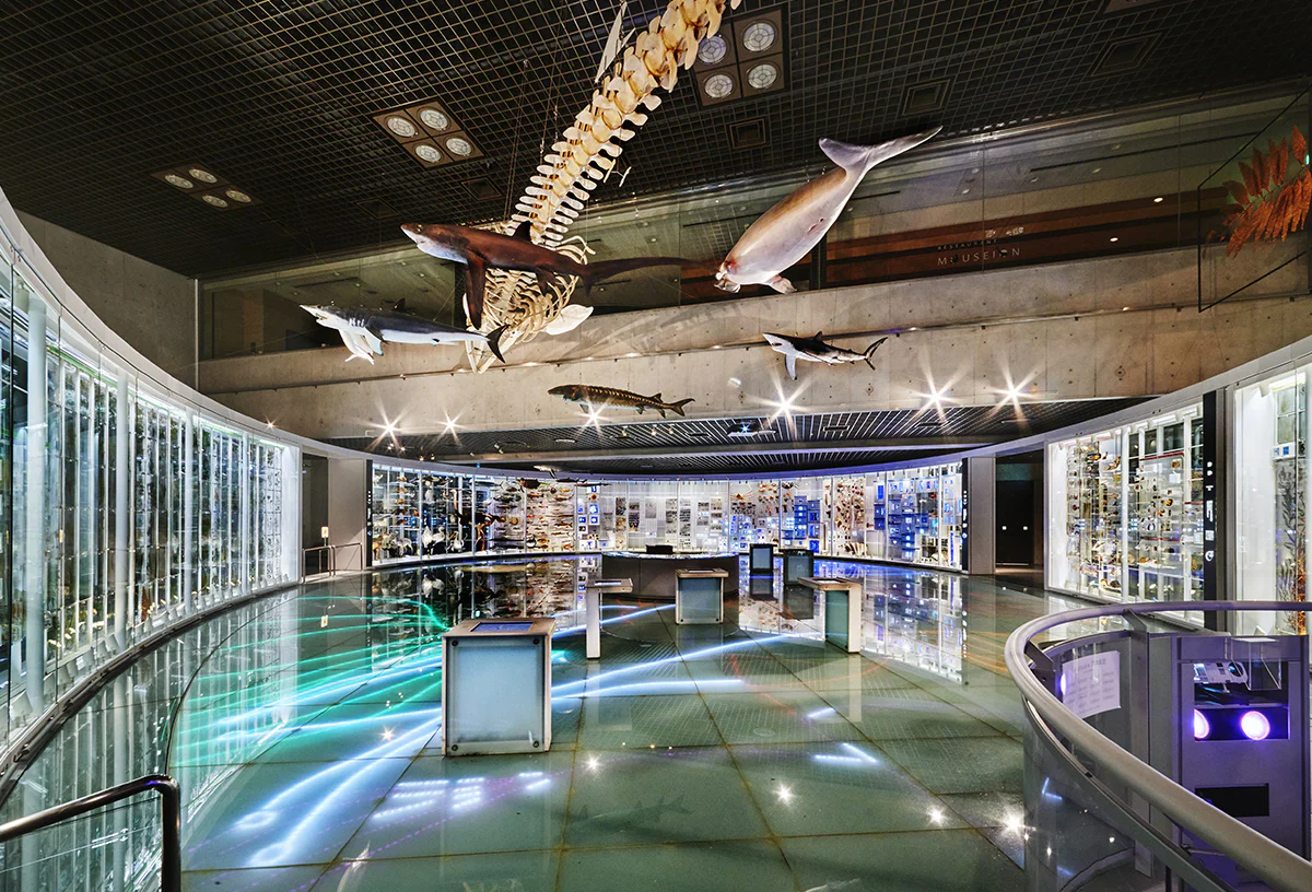 地球館1階展示室