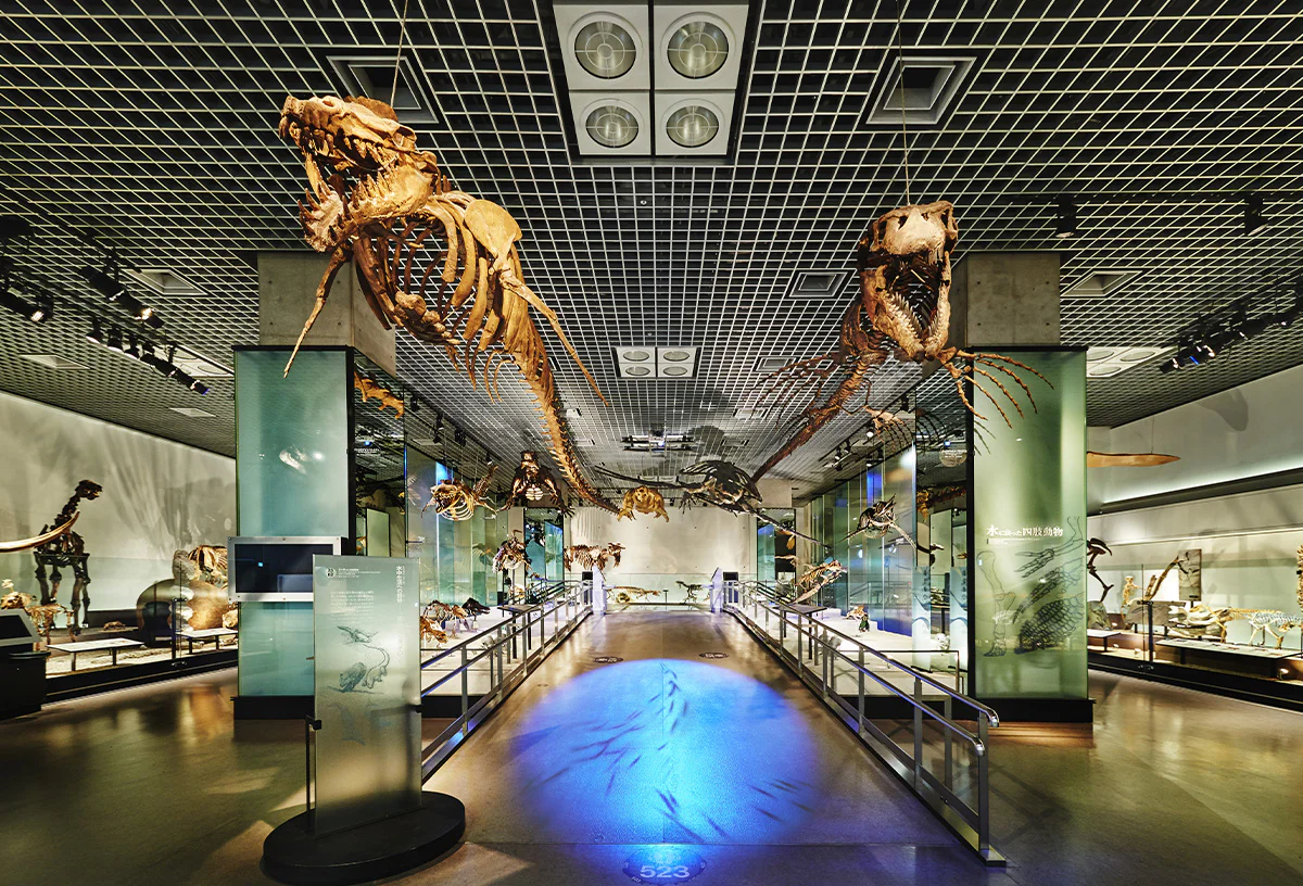 地球館B2階展示室