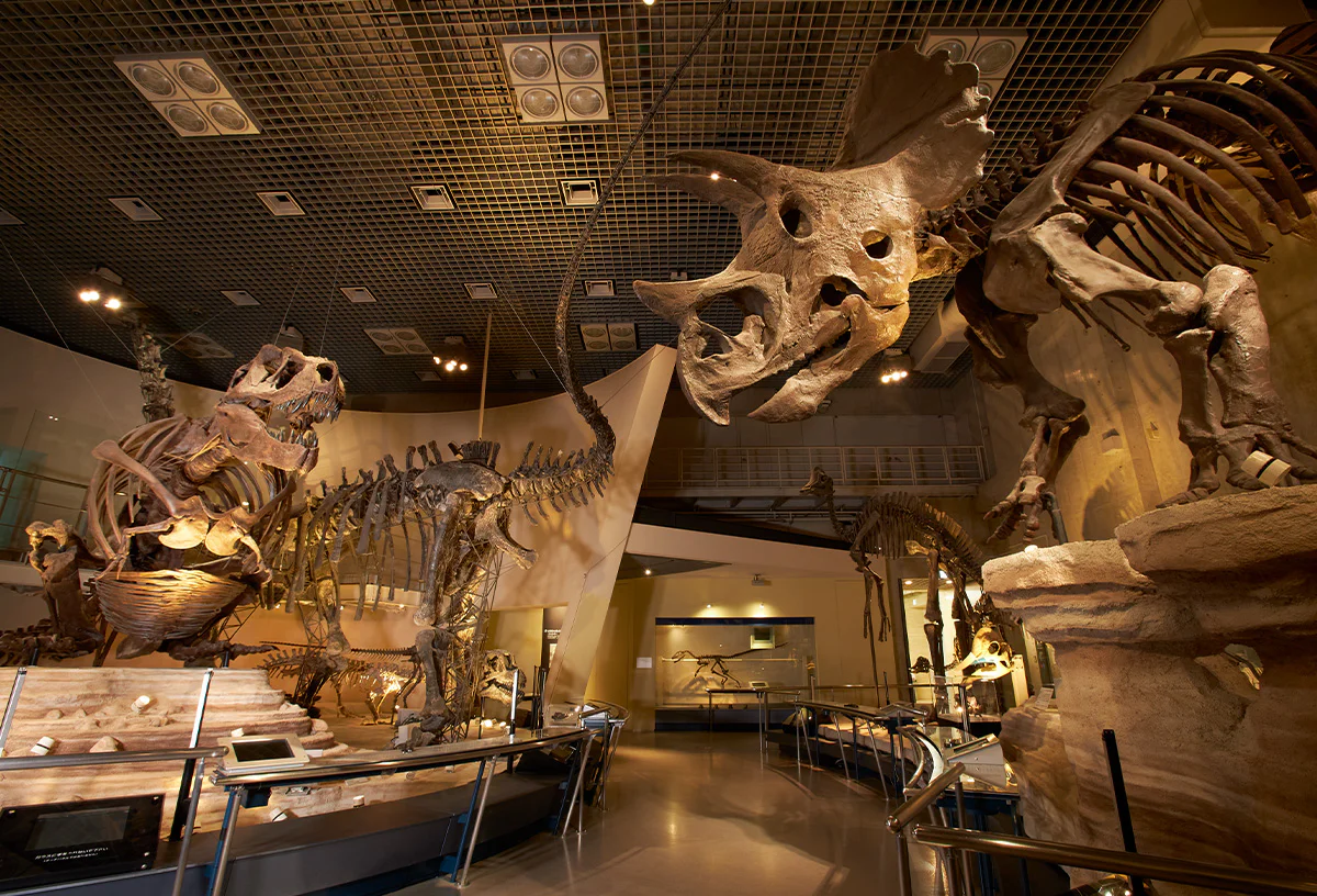 地球館B1階展示室