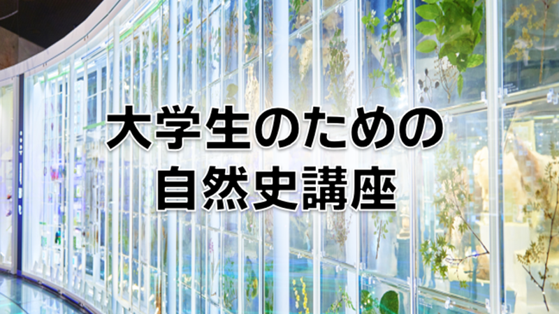 大学生のための自然史講座のイメージ画像