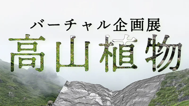 バーチャル企画展「高山植物」のイメージ画像