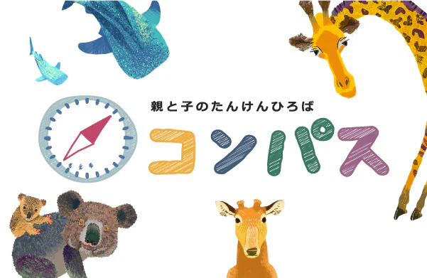 たんけんひろばコンパス
