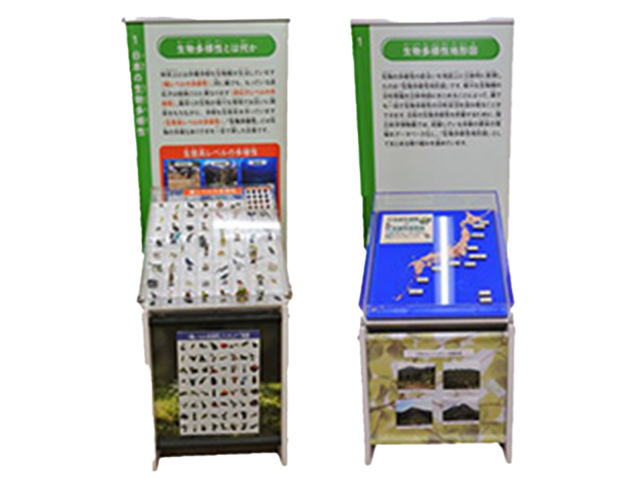 生物多様性フィギュアセット、立体地形図