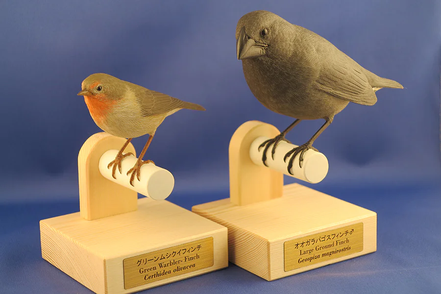 ダーウィンを驚かせた鳥たち1