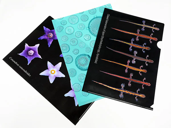 オリジナルクリアファイル