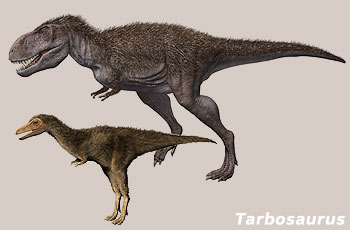 Tarbosaurus