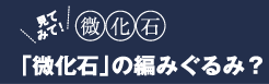 「微化石の編みぐるみ？」