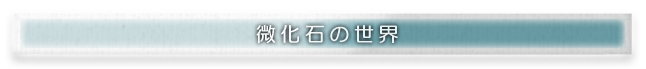 Sub title:微化石の世界