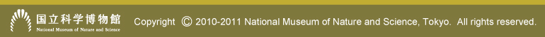 Copyright 2010-2011 National Museum of Nature and Science, Tokyo.  All rights reserved.
