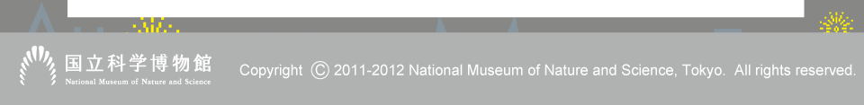 Ȋwف@Copyright 2011-2012 National Museum of Nature and  Science, Tokyo, All right reserved.