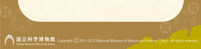 Ȋwف@Copyright 2011-2012 National Museum of Nature and Science, Tokyo. All right reserved.