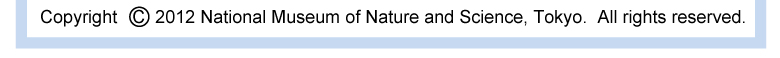 Copyright 2012 National Museum of Nature and Science, Tokyo. All rights reserved.