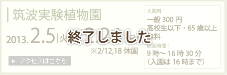 筑波実験植物園での展示は終了しました