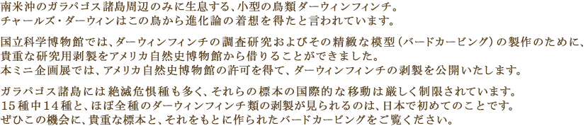 南米沖のガラパゴス諸島周辺のみに生息する、小型の鳥類ダーウィンフィンチ。チャールズ・ダーウィンはこの鳥から進化論の着想を得たと言われています。国立科学博物館では、ダーウィンフィンチの調査研究およびその精緻な模型（バードカービング）の製作のために、貴重な研究用剥製をアメリカ自然史博物館から借りることができました。本ミニ企画展では、アメリカ自然史博物館の許可を得て、ダーウィンフィンチの剥製を公開いたします。 ガラパゴス諸島には絶滅危惧種も多く、それらの標本の国際的な移動は厳しく制限されています。15種中14種と、ほぼ全種のダーウィンフィンチ類の剥製が見られるのは、日本で初めてのことです。ぜひこの機会に、貴重な標本と、それをもとに作られたバードカービングをご覧ください。